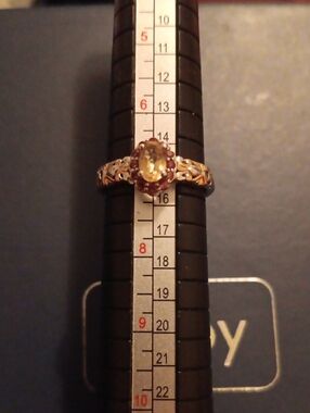 Premium Brazilian Heliodor and Orissa Rhodolite Garnet Ring in Vermeil Yellow